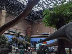 -国家自然博物馆