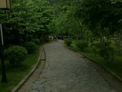 -大新明仕山庄