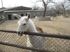 -西安秦岭野生动物园