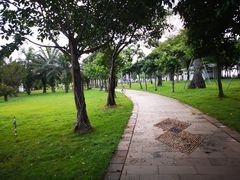 -万绿园