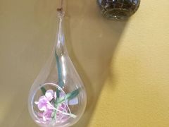 -狐狸家·酸奶酪专门店(平江路店)