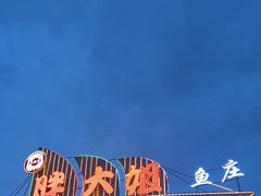 -胖大姐黄辣丁鱼庄(新津店)