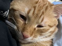 -派特宠物医院(圆融广场店)