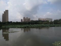 -前关湿地公园