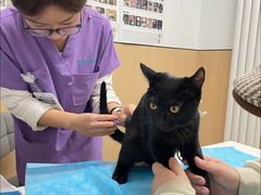 -瑞派·关忠动物医院·猫专科·犬专科(三环新城店)