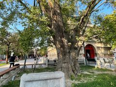-北京石刻艺术博物馆(五塔寺)
