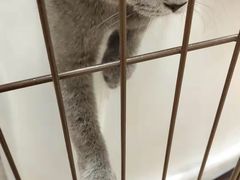 -iF摄影•全家福•证件照•形象照(南山店)