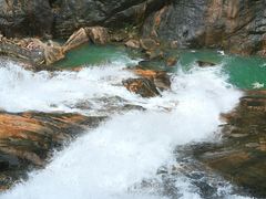 -广州白江湖森林公园