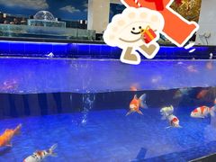 -鹏天阁酒楼·海鲜(红旗店)