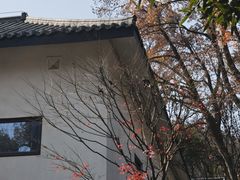 -润泽天·湘味家宴(岳麓山店)