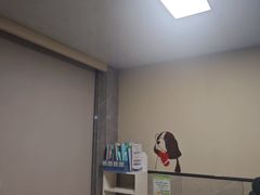 -半岛宠物医院24小时(白果林店)