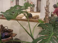 -荣记歡喜·馄饨铺(开发区振华购物中心店)