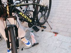 -道路口单车爱瓦士dahon大行