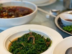 -洋洋中餐馆·SINCE 1997(信投店)