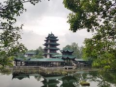 -桂湖森林公园