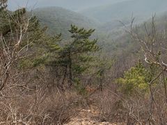 -棒棰岛宾馆景区