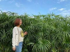 -祝甸砖窑文化馆