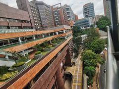 -香港大学