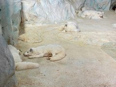 -珠海长隆海洋王国