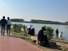 -丁香湖公园