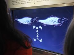 -白鹤梁水下博物馆