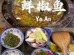 -鲜椒鱼·雅安地标性美食