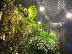 -曼妙午后(永利购物中心店)