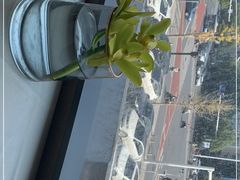 -冰火楼(梦泽园店)