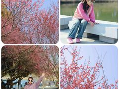 -白塘生态植物园