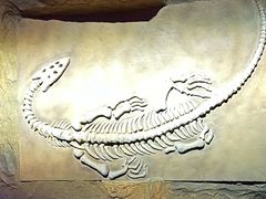 -中国西峡恐龙遗迹园
