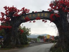 -天适樱花悠乐园