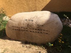 -武清南湖绿博园