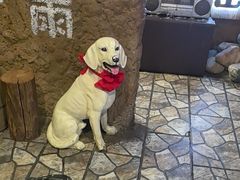 -破瓦寒窑·地摊烤羊排