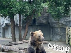 -淹城春秋乐园