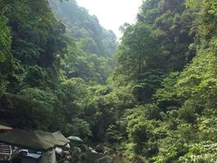 -青城山