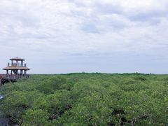 -北海金海湾红树林生态旅游区