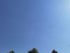 -南湖湿地公园