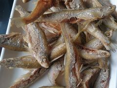 -乡村小榭饭店