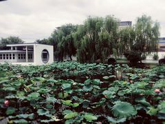 -费孝通江村纪念馆