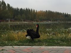 -吉林大学(前卫南区)