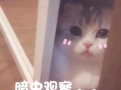 -悦慕·花满溪(新城吾悦店)