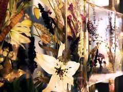 -新加坡乌节希尔顿酒店 (SG Clean)