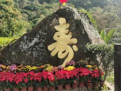 -天鹿湖森林公园