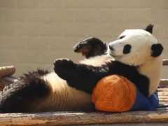 -石家庄市动物园