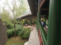 -迎泽公园