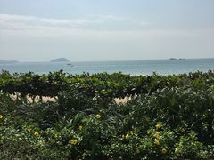 -三亚亚龙湾天域度假酒店