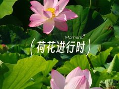 -南翠屏公园