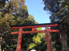 -奈良公园