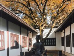 -上海醉白池公园