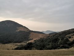 -大姆山草场